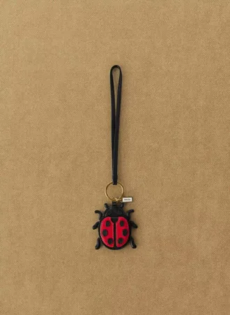 Ladybug-veskeanheng