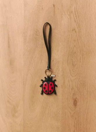 Ladybug-veskeanheng