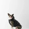 The Super Ruff Puff™ – Hi-Gloss The Super Ruff Puff™ – Hi-Gloss