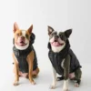 The Super Ruff Puff™ – Hi-Gloss The Super Ruff Puff™ – Hi-Gloss